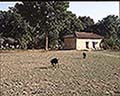 301530039.jpg
