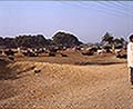 301540001.jpg