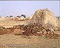 301540008.jpg