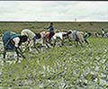 301550014.jpg