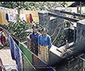 301550058.jpg