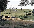 301550068.jpg