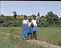 301550072.jpg