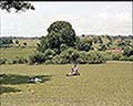 301550075.jpg