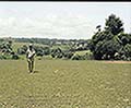 301550078.jpg