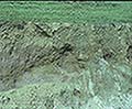 301550097.jpg