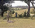 301550104.jpg