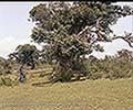 301550105.jpg
