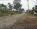 301550132.jpg