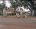 301560008.jpg