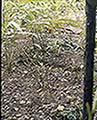 301560014.jpg