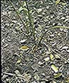 301560015.jpg