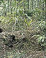 301560016.jpg