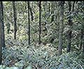 301560049.jpg