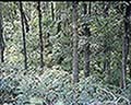 301560050.jpg