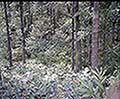 301560051.jpg