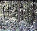 301560053.jpg