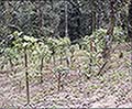 301560059.jpg