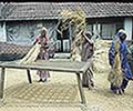 301560068.jpg