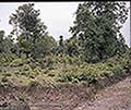 301560072.jpg