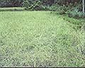 301560077.jpg