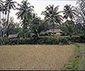 301560078.jpg
