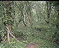 301560100.jpg