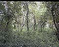 301560101.jpg