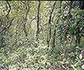 301560108.jpg