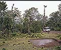 301560110.jpg