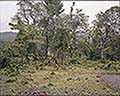 301560113.jpg