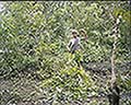 301560123.jpg