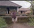 301560124.jpg