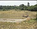 301560134.jpg