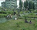 301560180.jpg