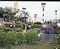 301560182.jpg