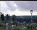 301560183.jpg