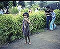301560184.jpg