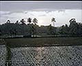 301560201.jpg
