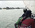 301560240.jpg