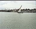 301560245.jpg
