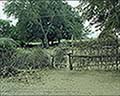 301570068.jpg