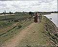 301570076.jpg