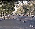 301570138.jpg