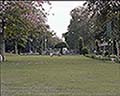 301570139.jpg