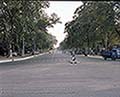 301570140.jpg