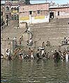 301570168.jpg