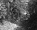301580023.jpg