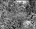 301580025.jpg