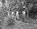 301580044.jpg